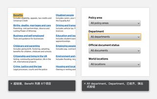 政务网站信息无障碍设计 研究篇