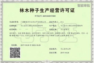 广西打造24小时 不打烊 网上政府