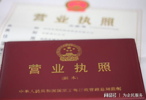 深圳公司注册的详细解读 内资公司为例