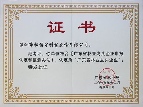 免漆板十大品牌松博宇 广东省林业龙头企业
