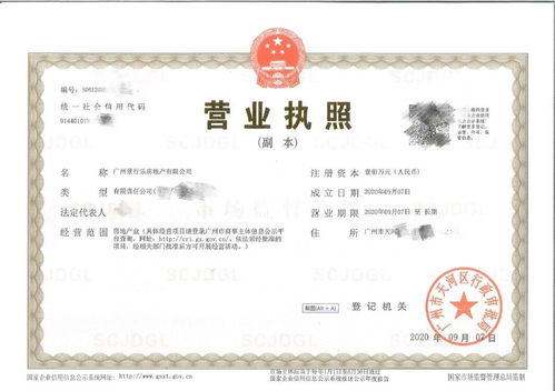 广州黄埔区公司注册流程复杂,看看这家房地产公司如何在1天下证