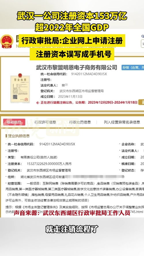 武汉一公司注册资本高达153万亿 官方回应 企业注册时误写成手机号